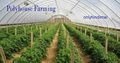 Polyhouse Farming Ke Liea Loan Kaise Le Hindi