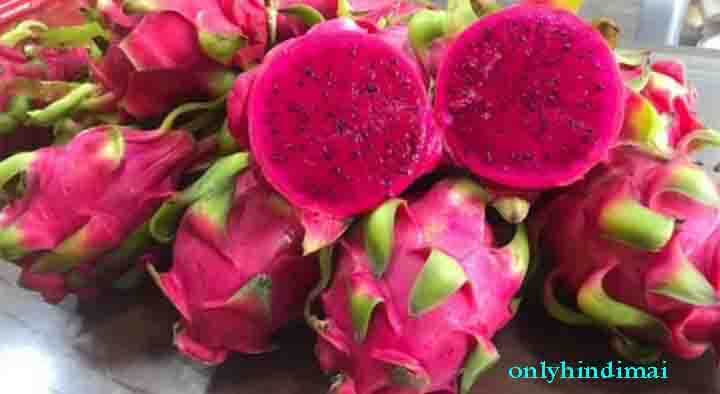 Dragon Fruit In Hindi - Dragon Fruit Price In India