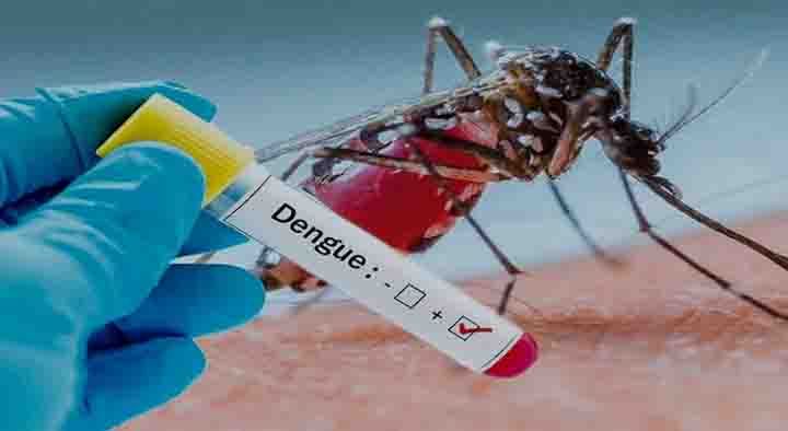 Dengue Symptoms and Prevention Tips in Hindi